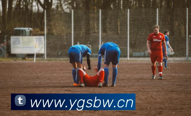 开云在线官网登录APP 高清赛事图